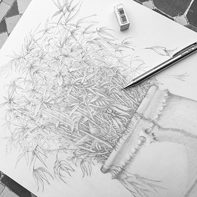 Fine Art